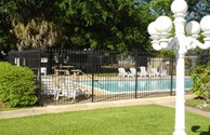 Our Pool is 'Swimmingly' Cared For
