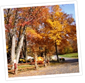 September 28th-September 30th Fall Colors Weekend Photo