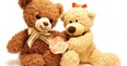 May 4-5 Teddy Bear Party Weekend Photo