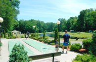 Shuffleboard Anyone?