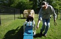 Pet Playground!