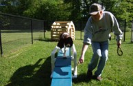 Pet Playground!