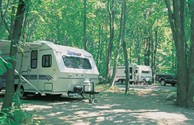 Campsites in the Shade!