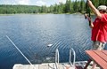 They're biting!