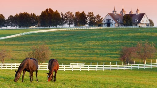 8 Things to See and Do in Kentucky