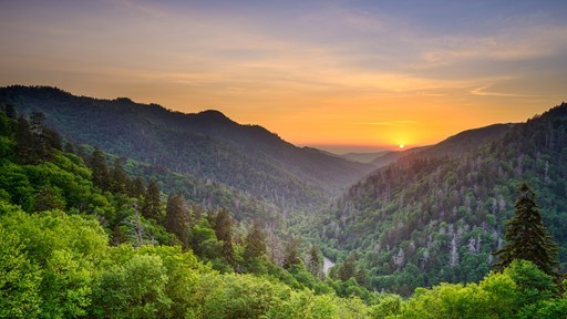6 Things You Need to Do in Great Smoky Mountains