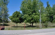 Shady grassy tent sites