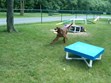 Kamp K-9 Photo