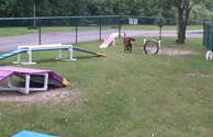 Kamp K-9