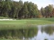 New Pro Golf Course "Hickory Stick" opens to Public Photo