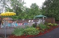Our Pool