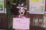 Our Little Cow for Ice Cream Social