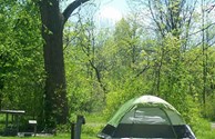 Quiet Peaceful Tent with Electric Sites