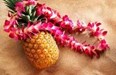 July 27-29 PET WEEKEND and Hawaiian  Beach Party Photo