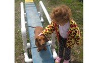 Kamp K9