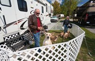 Pet Friendly? Yes We Are!