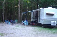 Wooded Back In