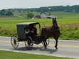 Amish and Cheese Factory Tours Photo
