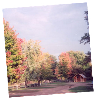 Fall colors