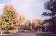 Fall colors