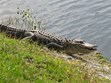 Lake Okeechobee Photo