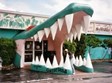 Gatorland Photo