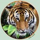 Palm Beach Zoo Photo
