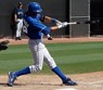 Spring Training Photo