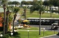 Rent a Golf Cart