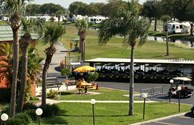 Rent a Golf Cart
