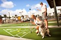 Shuffleboard Anyone?