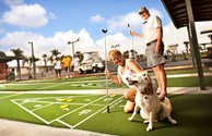 Shuffleboard Anyone?