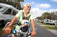 Driving Miss Daisy - One of the great ways to enjoy the sunshine