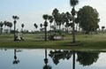Golf Course