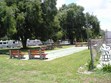 Shuffle Board  Courts Photo