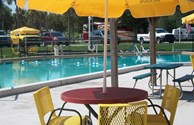 The Pool