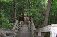 A Gorgeous Treck Through Iargo Springs