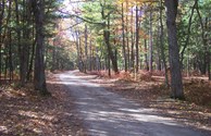 Changing Colors