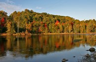 Au Sable River Views