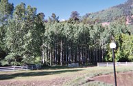 Private and spacious tent sites by the pond