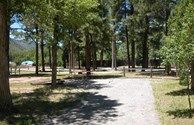 RV sites with plenty of shade, spacious!