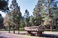 Antique Western wagon by the campstore