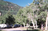 Plenty of shade for you and your RV