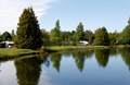 Pond