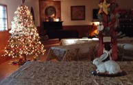 Christmas 2012