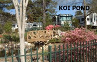 KOI POND