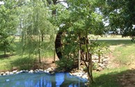 WATER WHEEL
