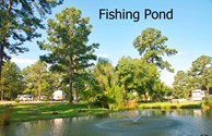 FISH POND