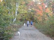 Trans Canada Trail/Seguin Trail Photo