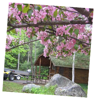 Play 'n Stay in a Cedar or Pine Log Kabin